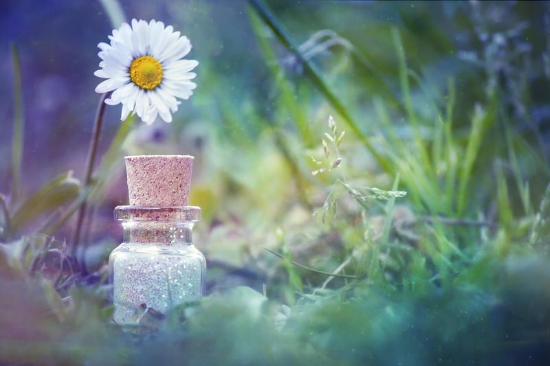 Fairy Garden
